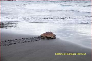 Ruta por la costa en memoria de José Luis González Ruano (Foto Ildefonso Rodríguez y TA)